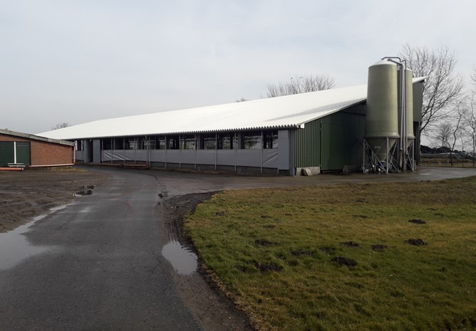 Milchviehbetrieb in der Wurster Marsch (Niedersachsen) sucht Hofnachfolger/Mitbewirtschafter