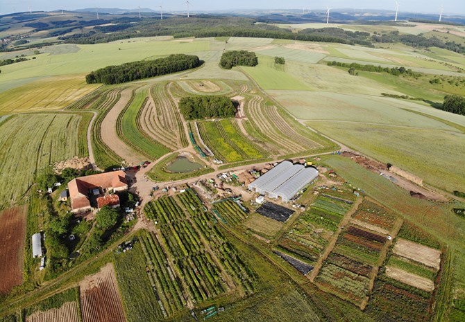 Hof Lebensberg - Bio-Betrieb mit Agroforst und Market Garden sucht Nachfolge