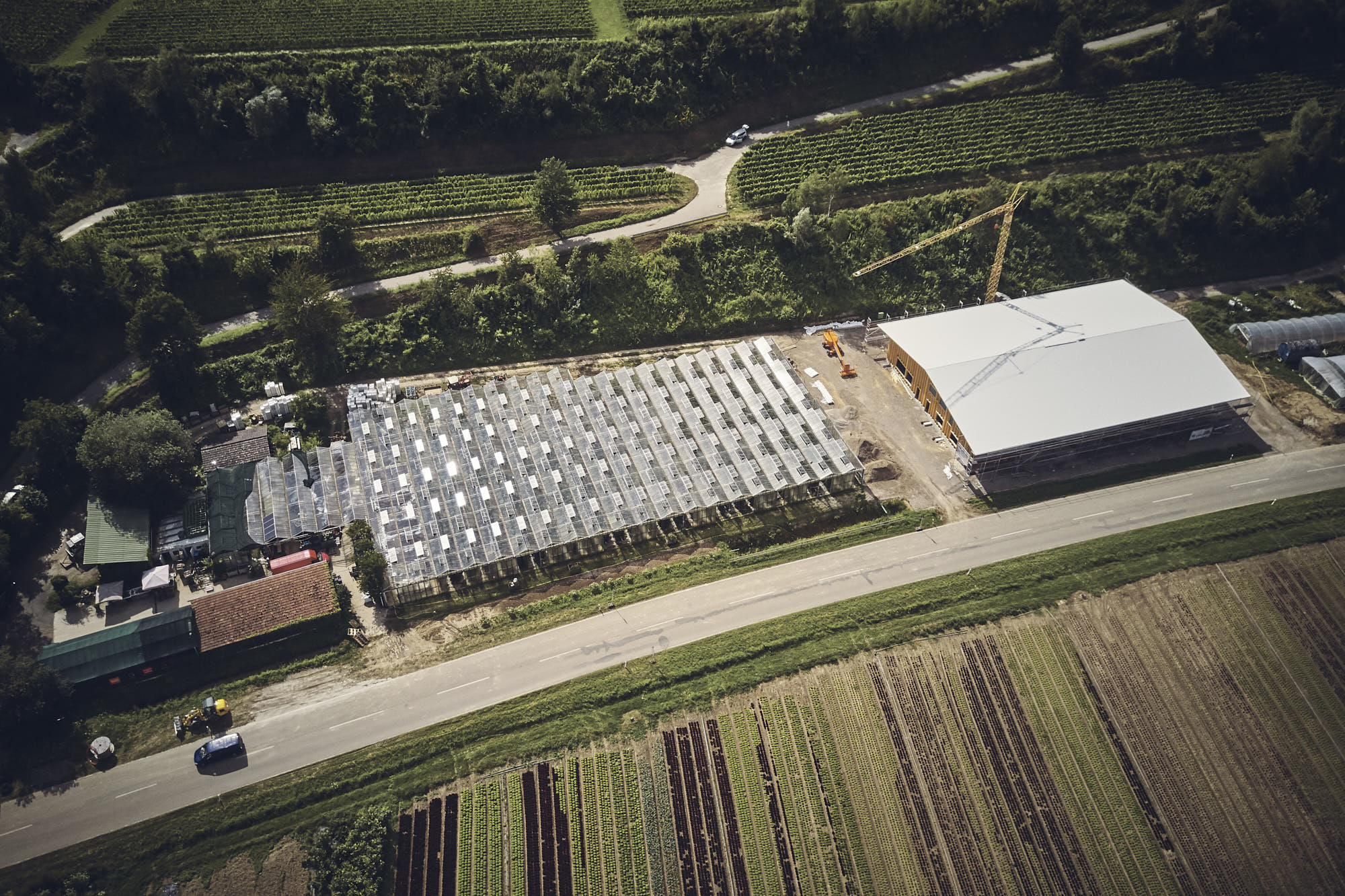 Gärtnerei Querbeet - Betriebsleiternachfolge in Eichstetten am Kaiserstuhl