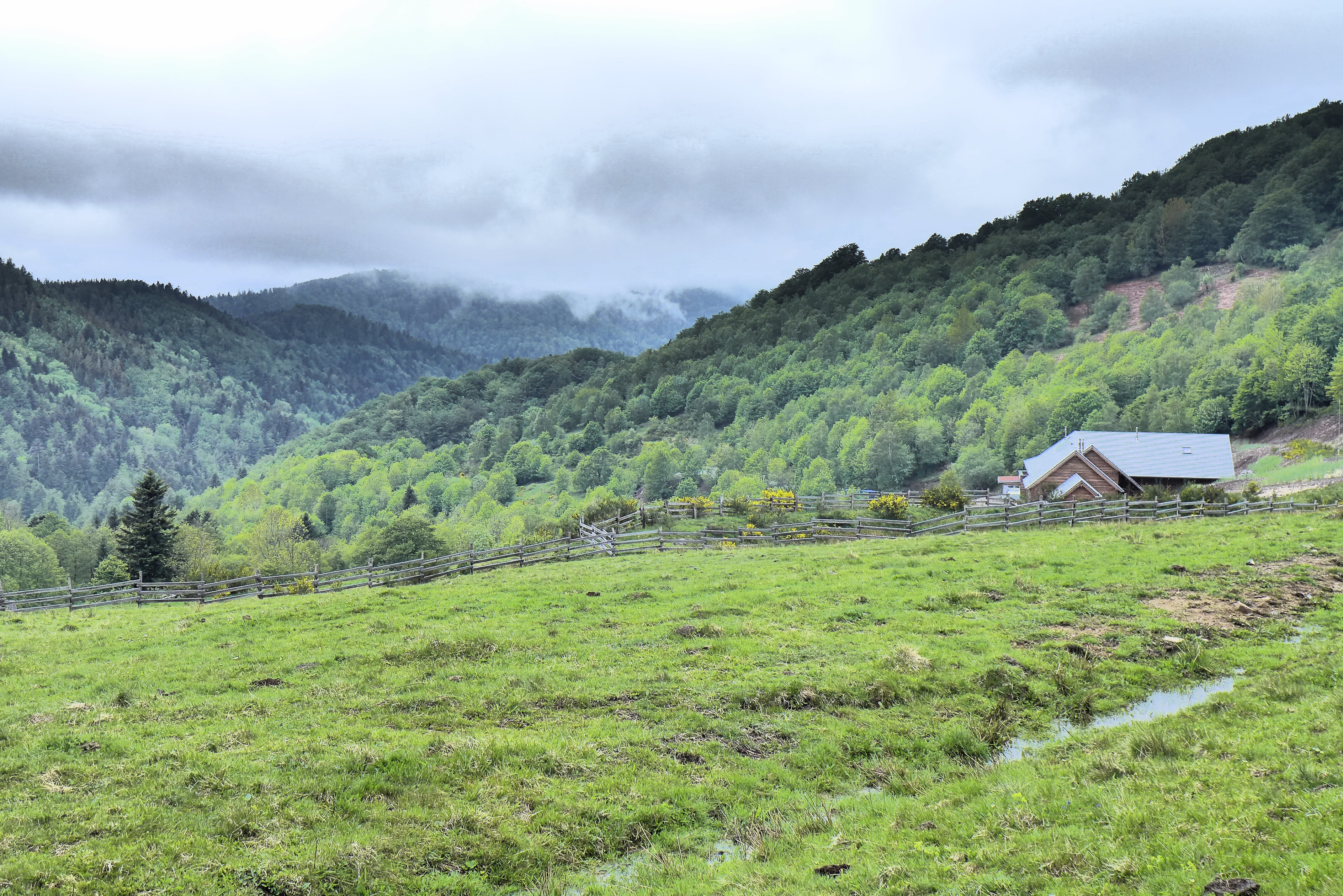 Oase der Ruhe - 60 Hektar Berghof mit Gästehaus im südlichen Elsass - Funkarme Lage - Fengshui optimiertes Konzept
