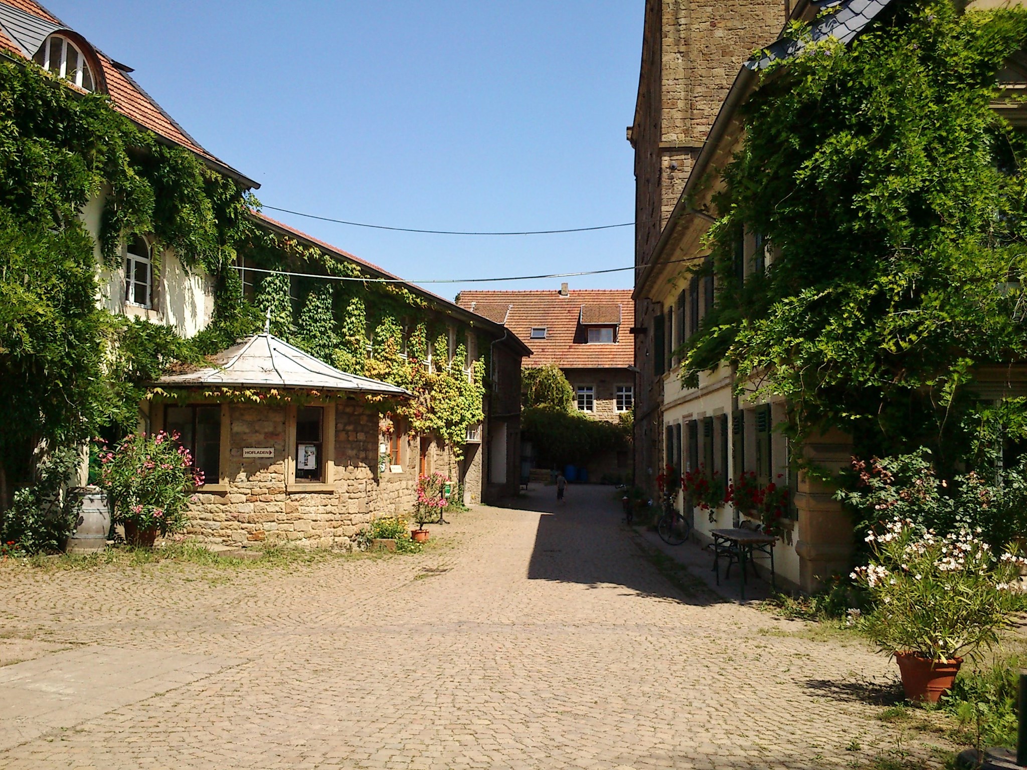 Hofnachfolge gesucht